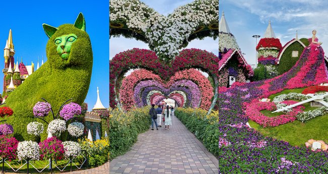 Dubai Miracle Garden Tickets